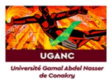 Logo de l'Université Gamal Abdel Nasser de Conakry